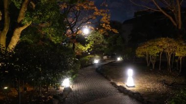 Yasuda Garden Kış Işığı, Japonya Tokyo 2024