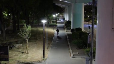 Sumida Parkı, Japonya Tokyo Gece Manzarası 2025