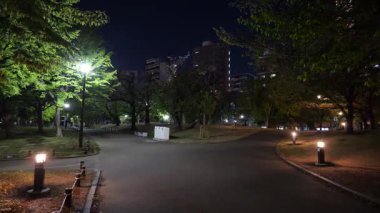 Sumida Parkı, Japonya Tokyo Gece Manzarası 2025