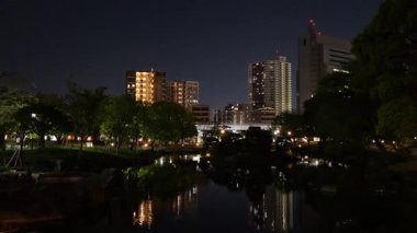 Sumida Parkı, Japonya Tokyo Gece Manzarası 2025