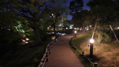 Sumida Parkı, Japonya Tokyo Gece Manzarası 2025