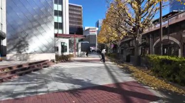 Yurakucho, Japonya Tokyo Yeni Yıl Günü 2025