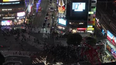 Shibuya Gözlem Güvertesi Gece Görüşü 2024