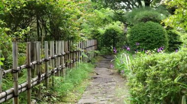 Gyousen Park Heisei Bahçesi, Japonya Tokyo 2025