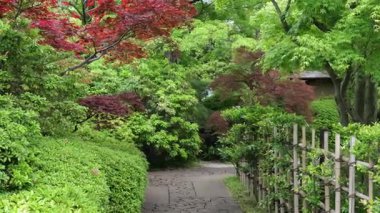 Gyousen Park Heisei Bahçesi, Japonya Tokyo 2025