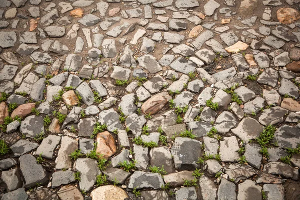 Gray Stone Paving Stone Old Stone Casket Texture Grunge Background — Stock Photo, Image