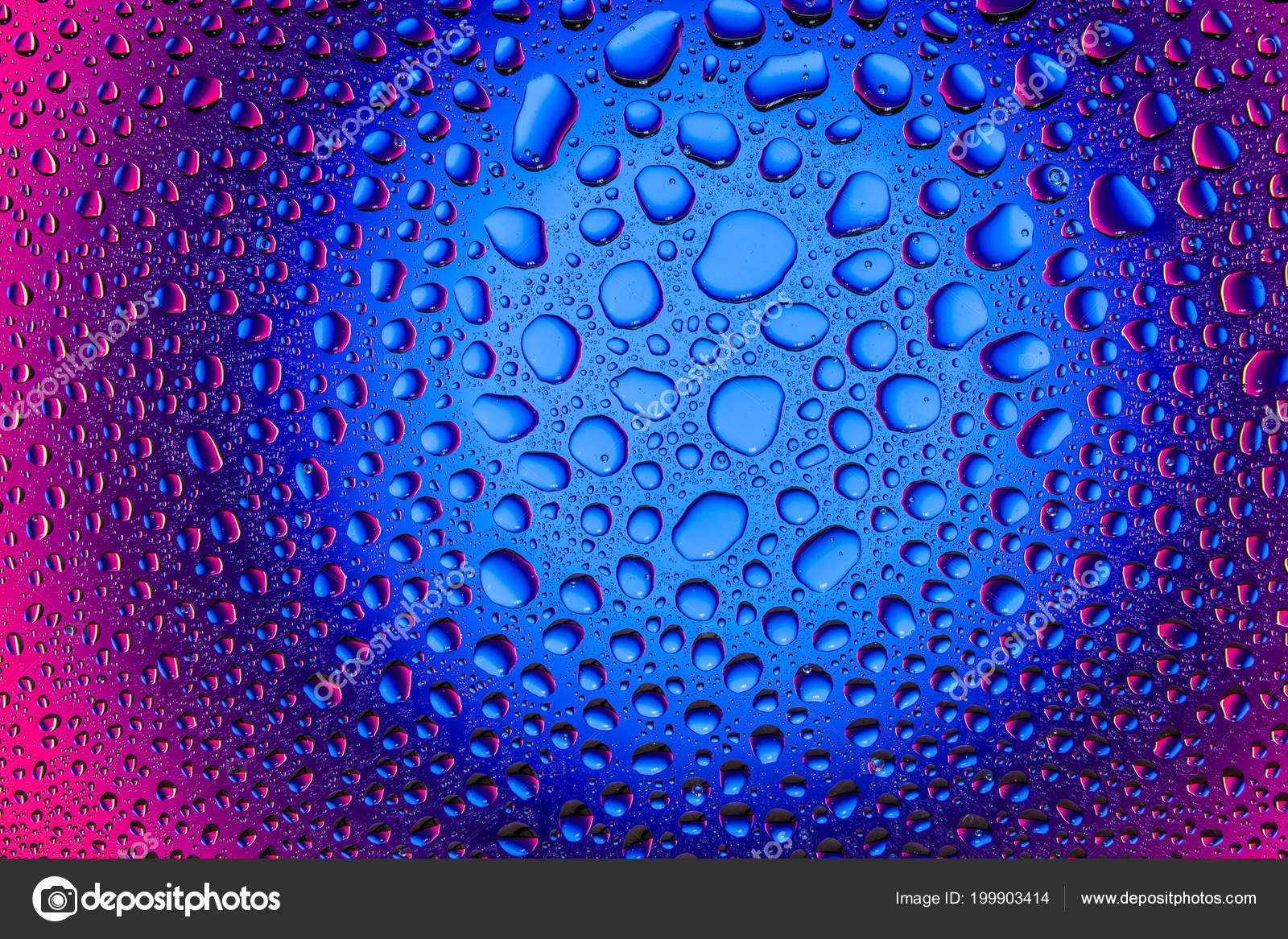 Close Water Drops Pink Blue Gradient Background Covered Drops Water Stock Photo Image By C Everyonensk