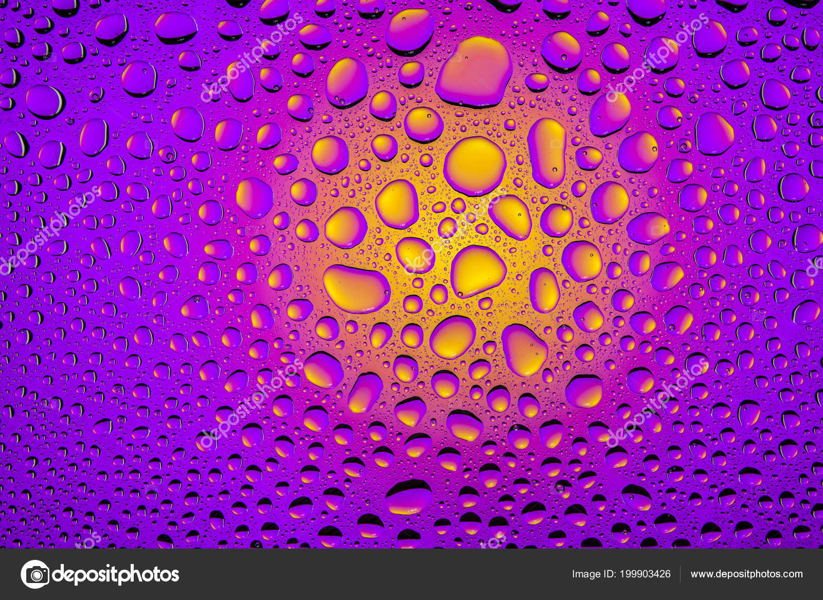 Close Water Drops Purple Yellow Gradient Background Covered Drops Water Stock Photo Image By C Everyonensk Close Water Drops Purple Yellow Gradient Background Covered Drops Water Stock Photo Image By C Everyonensk