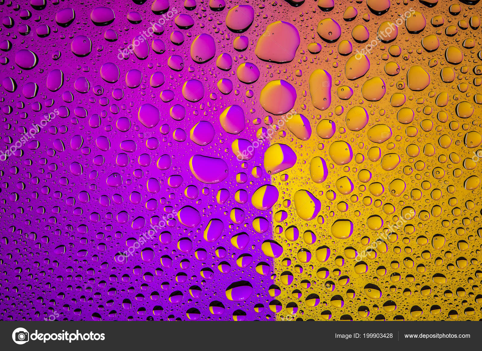 Close Water Drops Purple Yellow Gradient Background Covered Drops Water Stock Photo Image By C Everyonensk Close Water Drops Purple Yellow Gradient Background Covered Drops Water Stock Photo Image By C Everyonensk