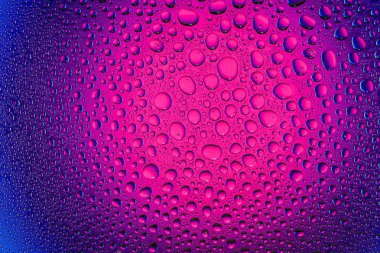 Yakın yukarı bir su damlaları bir pembe ve mavi degrade arka plan ile kaplı, damla su - yoğunlaşma.
