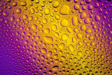 Yakın yukarı bir su damlaları bir mor ve sarı degrade arka plan ile kaplı, damla su - yoğunlaşma.