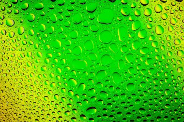 Yakın yukarı bir su damlaları bir yeşil ve sarı degrade arka plan ile kaplı, damla su - yoğunlaşma.