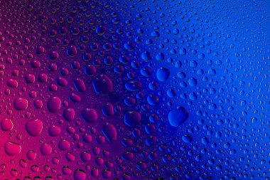 Yakın yukarı bir su damlaları bir pembe ve mavi degrade arka plan ile kaplı, damla su - yoğunlaşma.