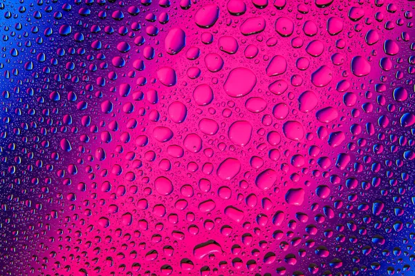 Yakın yukarı bir su damlaları bir pembe ve mavi degrade arka plan ile kaplı, damla su - yoğunlaşma.