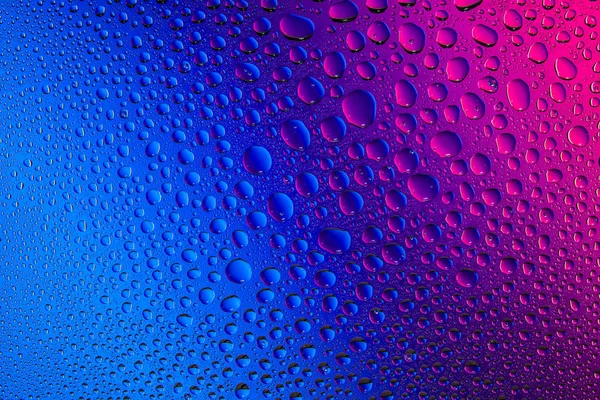 Yakın yukarı bir su damlaları bir pembe ve mavi degrade arka plan ile kaplı, damla su - yoğunlaşma.