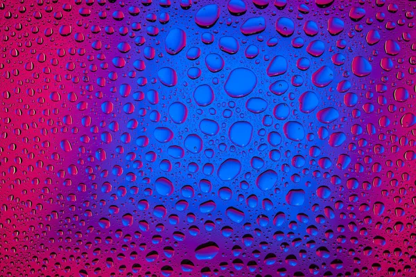 ピンクの水の低下し 水滴で覆われた青のグラデーションの背景に近い水分の凝縮 — ストック写真