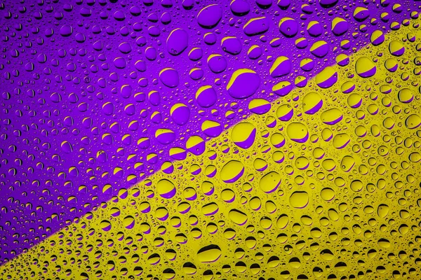 Yakın yukarı bir su damlaları bir mor ve sarı degrade arka plan ile kaplı, damla su - yoğunlaşma.
