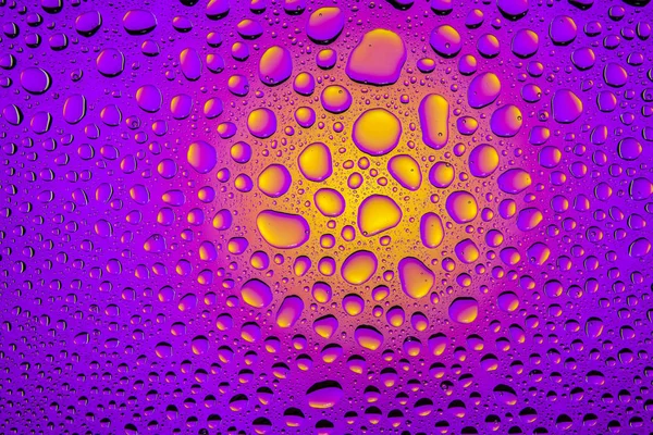 在紫色和黄色梯度背景上的水滴关闭 覆盖着水滴凝结 — 图库照片