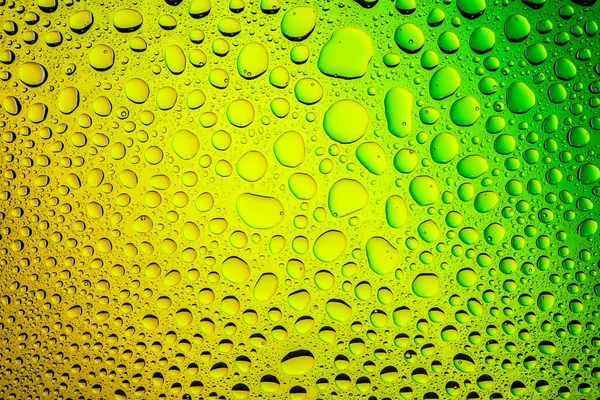 Yakın yukarı bir su damlaları bir yeşil ve sarı degrade arka plan ile kaplı, damla su - yoğunlaşma.