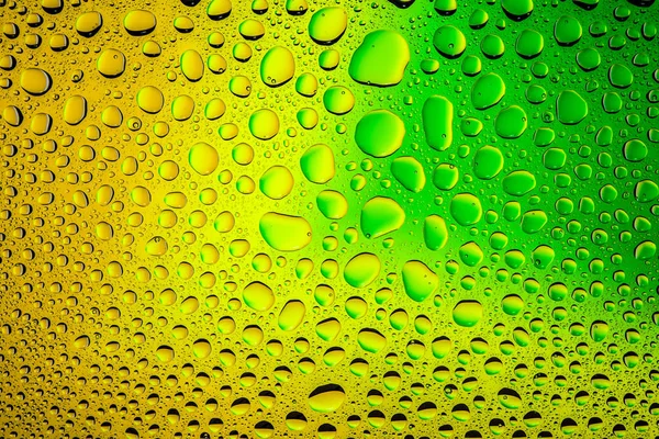 Yakın yukarı bir su damlaları bir yeşil ve sarı degrade arka plan ile kaplı, damla su - yoğunlaşma.