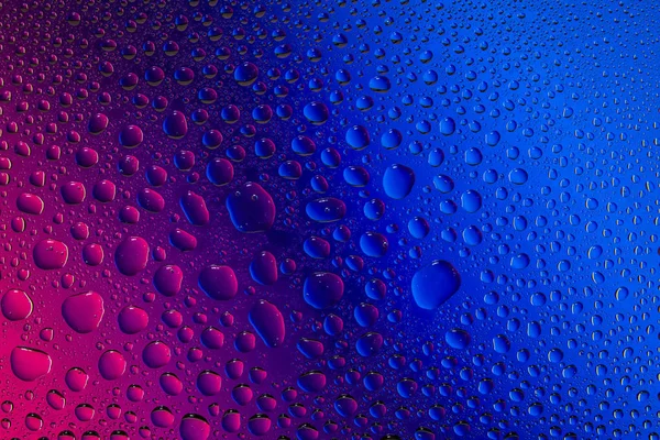 Close Vody Klesne Růžové Modré Gradientní Pozadí Pokryté Kapkami Vody — Stock fotografie