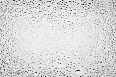 İn yakın bir su damlaları ile kaplı beyaz degrade arka plan üzerinde damla su - yoğunlaşma.