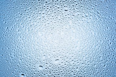 Yakın up bir su damlaları beyaz ve mavi degrade arka plan ile kaplı, damla su - yoğunlaşma.