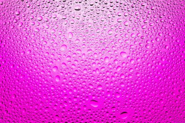 Yakın yukarı bir su damlaları beyaz ve pembe degrade arka plan ile kaplı, damla su - yoğunlaşma.