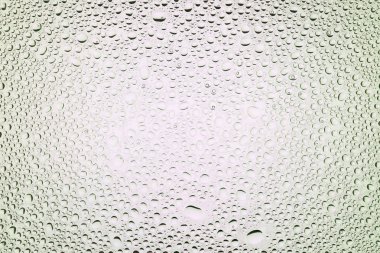 İn yakın bir su damlaları ile kaplı beyaz degrade arka plan üzerinde damla su - yoğunlaşma.