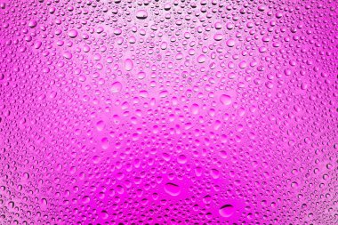 Yakın yukarı bir su damlaları beyaz ve pembe degrade arka plan ile kaplı, damla su - yoğunlaşma.