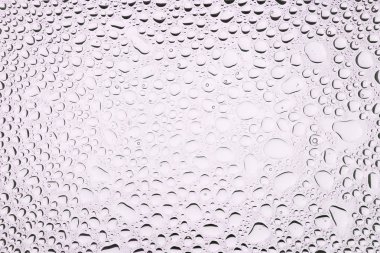 İn yakın bir su damlaları ile kaplı beyaz degrade arka plan üzerinde damla su - yoğunlaşma.