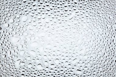 İn yakın bir su damlaları ile kaplı beyaz degrade arka plan üzerinde damla su - yoğunlaşma.