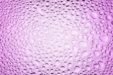 Yakın yukarı bir su damlaları beyaz ve pembe degrade arka plan ile kaplı, damla su - yoğunlaşma.