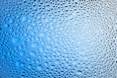 Yakın up bir su damlaları beyaz ve mavi degrade arka plan ile kaplı, damla su - yoğunlaşma.