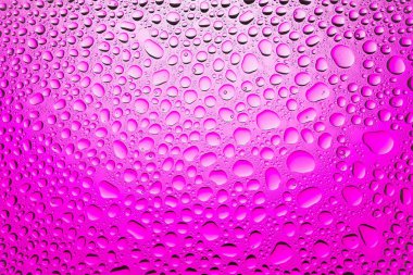 Yakın yukarı bir su damlaları beyaz ve pembe degrade arka plan ile kaplı, damla su - yoğunlaşma.
