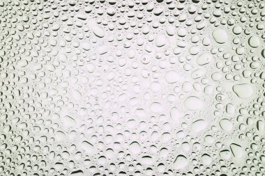 İn yakın bir su damlaları ile kaplı beyaz degrade arka plan üzerinde damla su - yoğunlaşma.