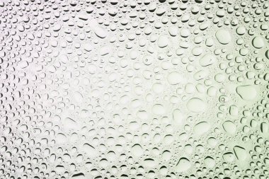 İn yakın bir su damlaları ile kaplı beyaz degrade arka plan üzerinde damla su - yoğunlaşma.