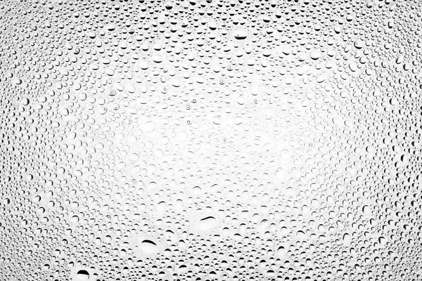 İn yakın bir su damlaları ile kaplı beyaz degrade arka plan üzerinde damla su - yoğunlaşma.
