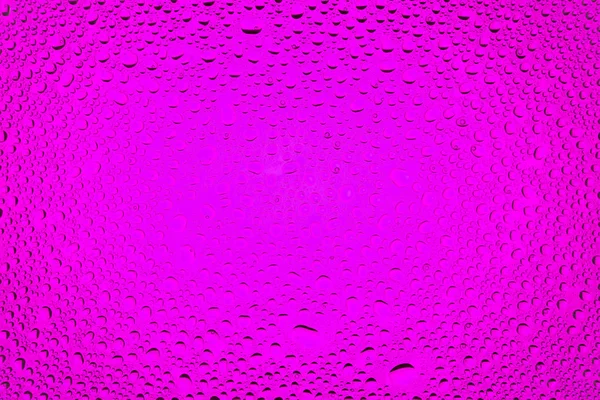 在粉红色梯度背景上的水滴关闭 覆盖着水滴凝结 — 图库照片