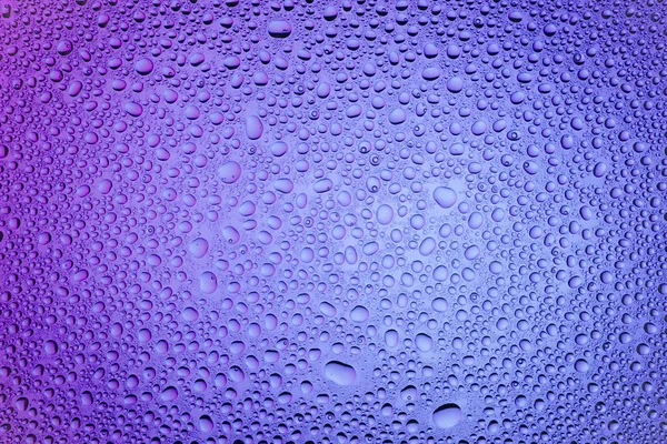 İn yakın bir su damlaları ile kaplı bir mor degrade arka plan üzerinde damla su - yoğunlaşma.