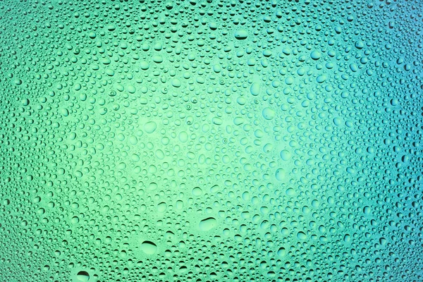 水の滴 白地と水滴で覆われた青のグラデーションの背景に近い水分の凝縮 — ストック写真