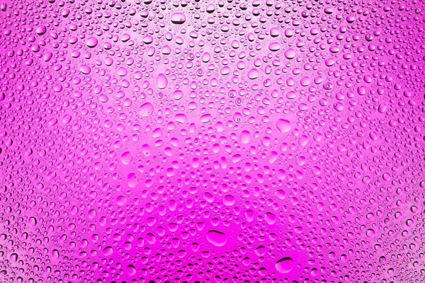 Primer Plano Las Gotas Agua Sobre Fondo Gradiente Blanco Rosa — Foto de Stock