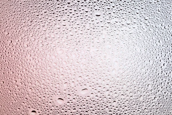 Yakın yukarı bir su damlaları beyaz ve kırmızı degrade arka plan ile kaplı, damla su - yoğunlaşma.