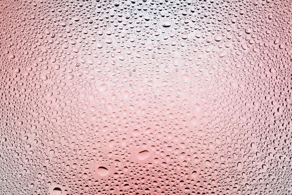 Yakın yukarı bir su damlaları beyaz ve kırmızı degrade arka plan ile kaplı, damla su - yoğunlaşma.