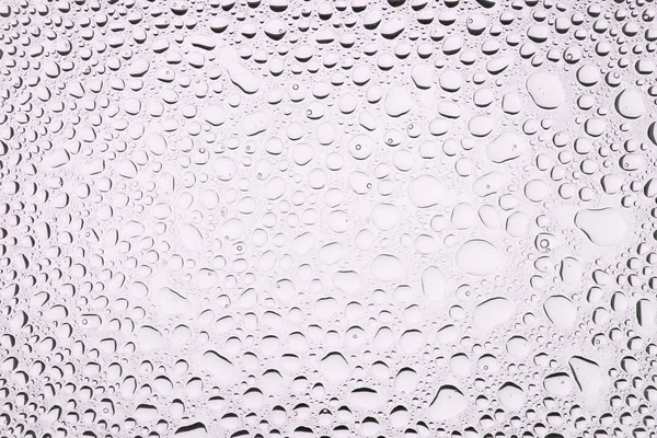İn yakın bir su damlaları ile kaplı beyaz degrade arka plan üzerinde damla su - yoğunlaşma.