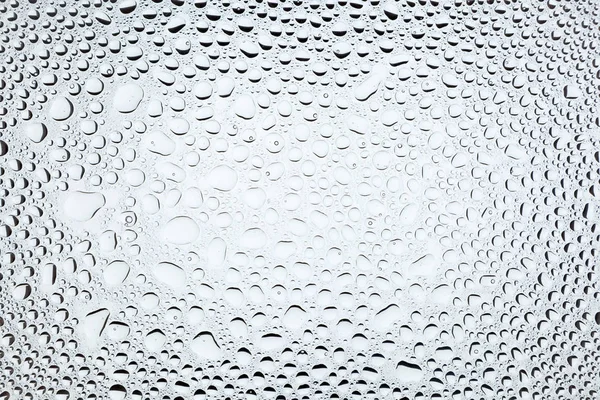 İn yakın bir su damlaları ile kaplı beyaz degrade arka plan üzerinde damla su - yoğunlaşma.