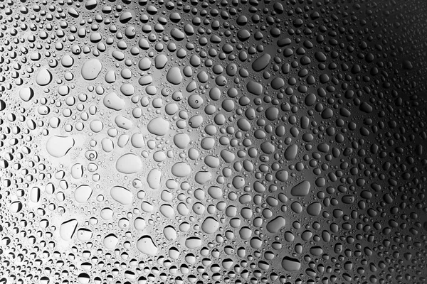 Close Water Drops Black White Gradient Background Covered Drops Water — Stock Photo, Image