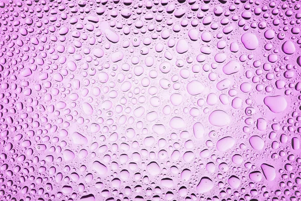 Yakın yukarı bir su damlaları beyaz ve pembe degrade arka plan ile kaplı, damla su - yoğunlaşma.