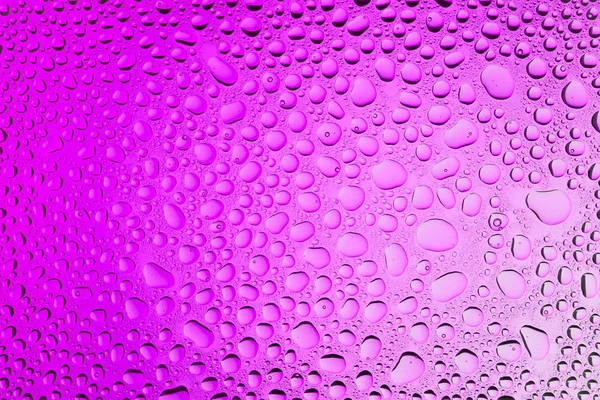 Yakın yukarı bir su damlaları beyaz ve pembe degrade arka plan ile kaplı, damla su - yoğunlaşma.