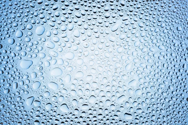 Yakın up bir su damlaları beyaz ve mavi degrade arka plan ile kaplı, damla su - yoğunlaşma.